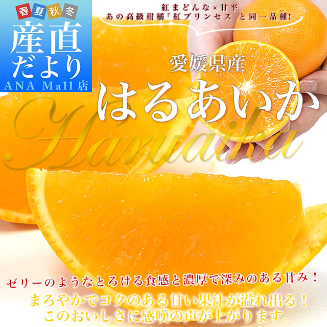 愛媛県産「はるあいか」ご家庭用 約2.5キロ2LからLサイズ(10玉から14玉前後入り) 送料無料(離島などの一部地域を除く) 柑橘 紅まどんな 甘平 市場発送