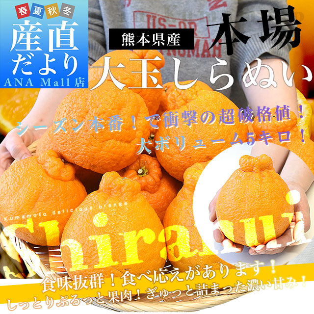 熊本県から産地直送 熊本県産 しらぬい(不知火) 優品以上 4Lから2Lサイズ たっぷり約5キロ1箱(14玉から20玉前後) 送料無料(離島などの一部地域を除く) しらぬひ 柑橘