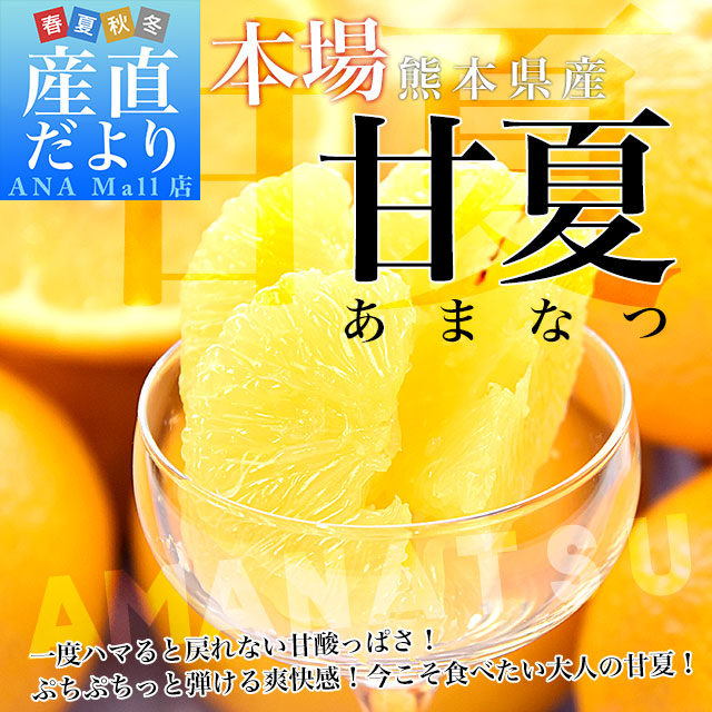 熊本県から産地直送 熊本県産 甘夏(あまなつ) ご家庭向け 無印 Mから2Lサイズ 約5キロ(合計12玉から16玉前後) 送料無料(離島など一部地域を除く) 柑橘 かんきつ