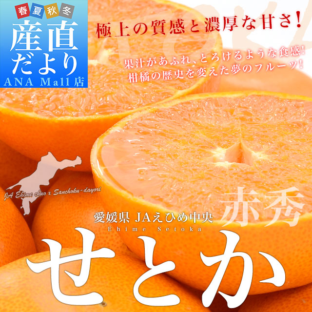 愛媛県産 JAえひめ中央 せとか 赤秀品 3LからLサイズ 約5キロ(15玉から26玉前後) 柑橘 オレンジ 送料無料(離島などの一部地域を除く)
