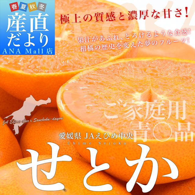 愛媛県産 JAえひめ中央 せとか ご家庭用 青〇品 3LからLサイズ 約5キロ(15玉から26玉前後) 柑橘 オレンジ 送料無料(離島などの一部地域を除く)