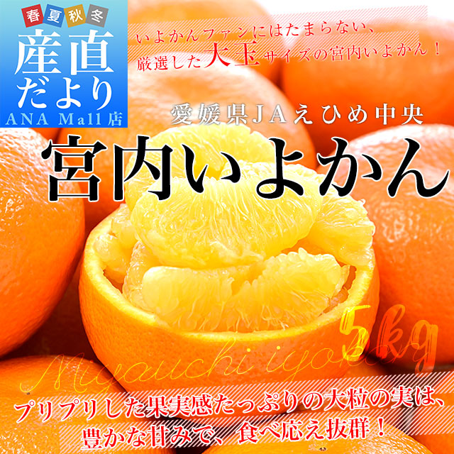 愛媛県産 JAえひめ中央 宮内いよかん ご家庭用 優品 大玉 3Lサイズ 約5キロ(16玉前後) 送料無料(離島などの一部地域を除く) 伊予柑 柑橘