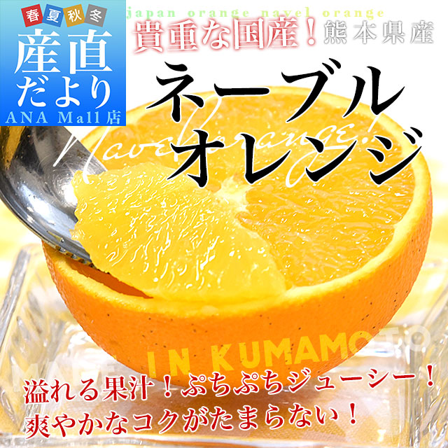 熊本県から産地直送 熊本県産 訳ありご家庭用 ネーブルオレンジ Mから3L 約5キロ(17玉から33玉前後)送料無料(離島など一部地域を除く) 柑橘 かんきつ
