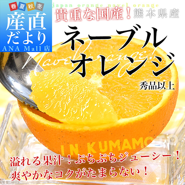 熊本県から産地直送 熊本県産 ネーブルオレンジ 秀品以上 Mから2L 約5キロ（21玉から33玉前後）送料無料 柑橘 かんきつ