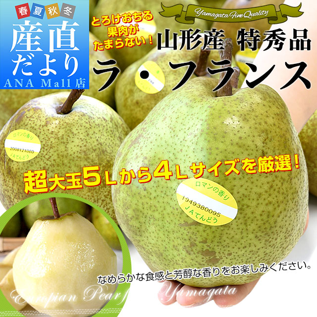 山形より産地直送 ラ・フランスセンター共撰品 ラ・フランス 特秀品 約5キロ(12玉から14玉入り) 4Lから5Lサイズ 送料無料(離島などの一部地域を除く) 大玉 洋なし 洋梨