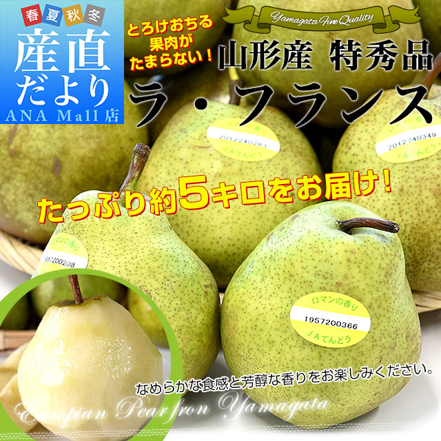 山形より産地直送 ラ・フランスセンター共撰品 ラ・フランス 特秀品 約5キロ(16玉から20玉入り) 3LからLサイズ 送料無料(離島などの一部地域を除く) 洋なし 洋梨
