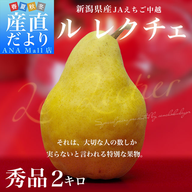 【お歳暮 ギフト】新潟県産 ル レクチェ 秀品 2キロ(4玉から7玉) 洋ナシ 洋梨 ル・レクチェ 冬ギフト 御歳暮 送料無料(離島など一部地域を除く)