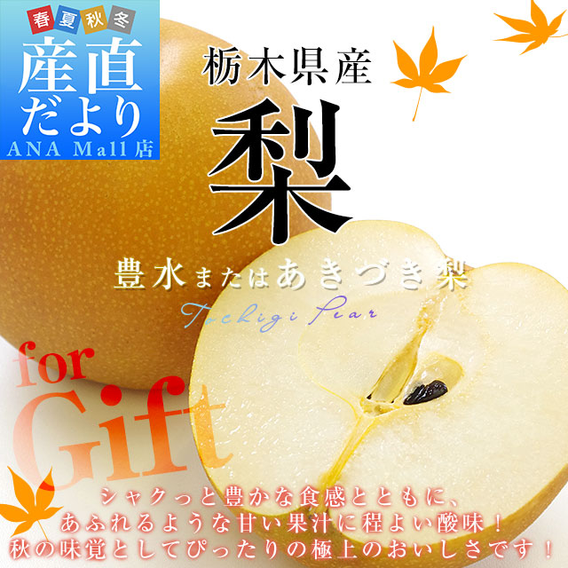 ニュージーランド産 JAZZりんご(品種:サイフレッシュ)約2キロ(11