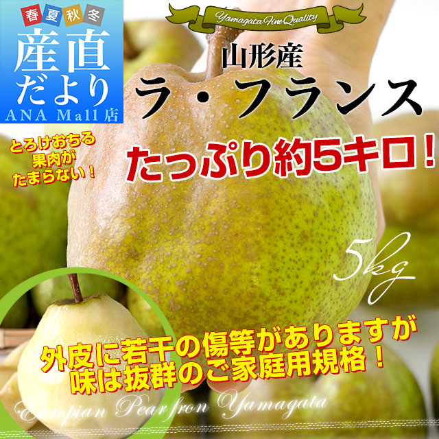 山形県産 ご家庭用ラフランス約5キロ(12玉から20玉)送料無料(離島などの一部地域を除く) ラ・フランス 洋なし 洋梨