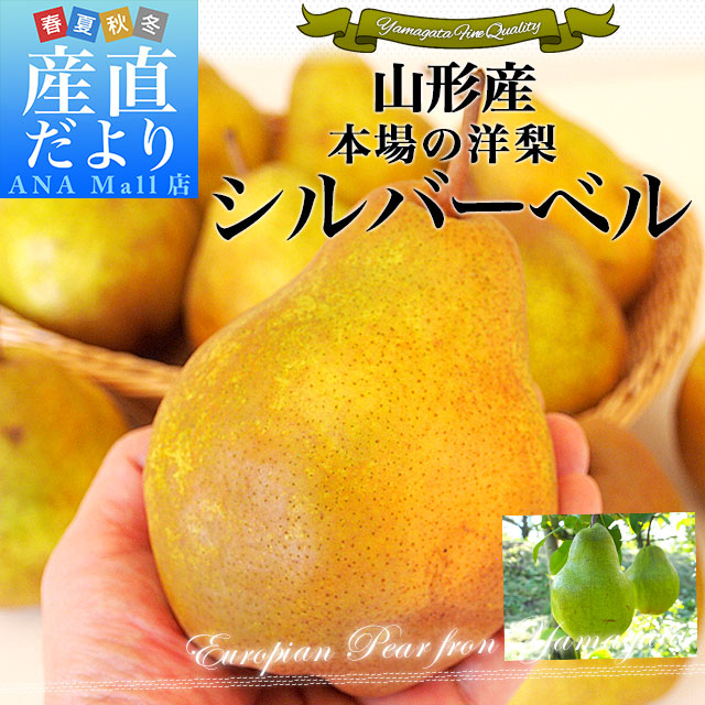 山形県産 洋梨シルバーベル 秀品以上 3キロ (5玉から10玉) 送料無料(離島などの一部地域を除く) 洋梨