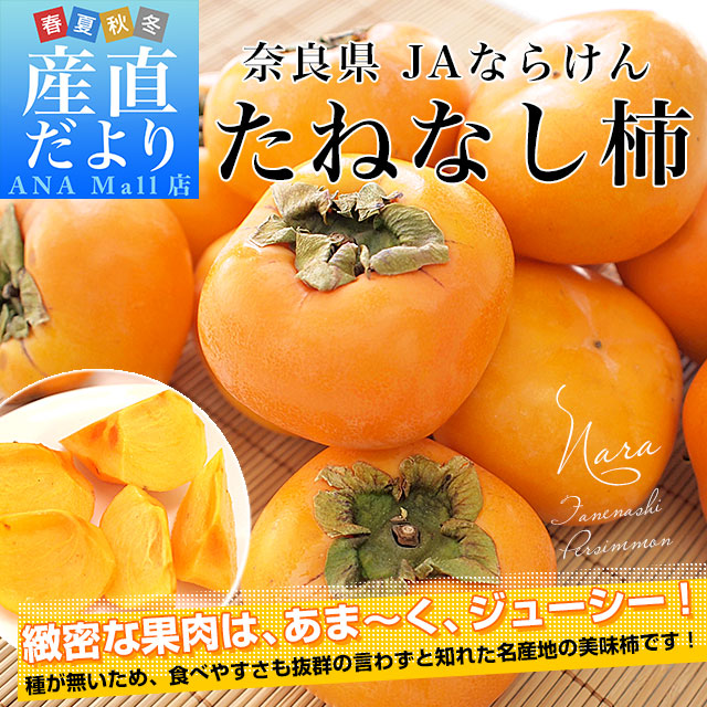 アメリカ産 アメリカンチェリー 大粒10Rから10.5Rサイズ 約800g