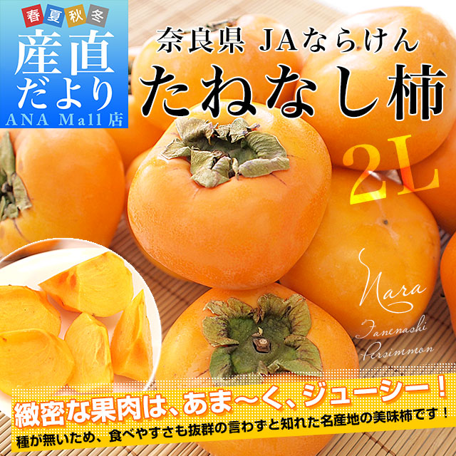 奈良県 JAならけん たねなし柿（刀根柿・平種無柿）青秀品 2Lサイズ 約