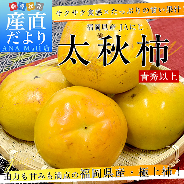 福岡県産 JAにじ 太秋柿 青秀以上