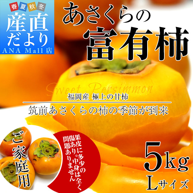 福岡県より産地直送 JA筑前あさくら あさくらの富有柿 (甘柿) ご家庭用 Lサイズ 約5キロ (20玉) 送料無料(離島などの一部地域を除く) 柿 かき カキ