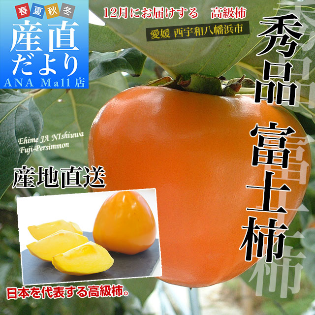 愛媛県より産地直送 JAにしうわ 富士柿 秀品 2キロ(5玉から6玉) 送料無料(離島などの一部地域を除く) 柿 かき ふじがき お歳暮 御歳暮