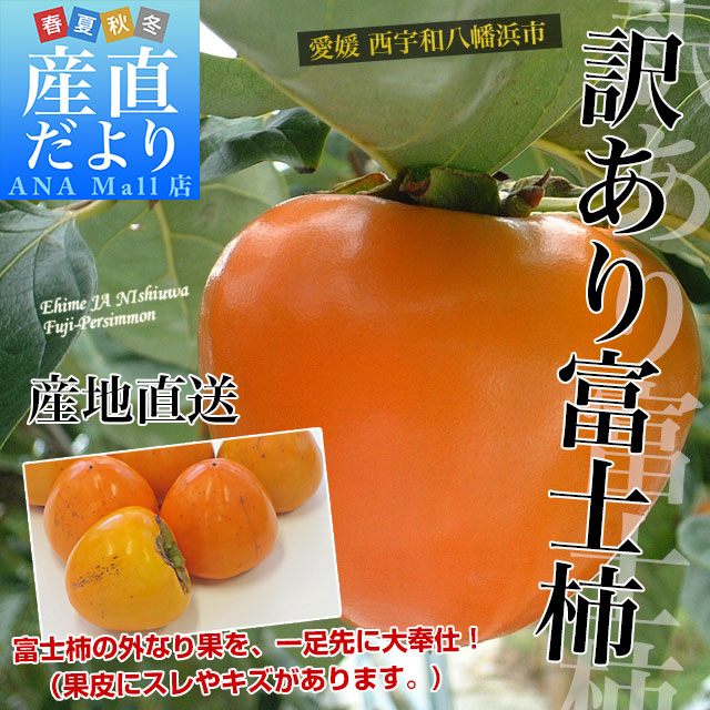 愛媛県より産地直送 JAにしうわ 富士柿 訳あり 2キロ(5玉から6玉) 送料無料(離島などの一部地域を除く) 柿 かき ふじがき