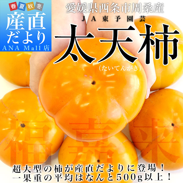 愛媛県周桑産 JA東予園芸 太天柿 秀品 3.5キロ(5玉から8玉) 送料無料(離島などの一部地域を除く)  たいてんがき かき 市場スポット