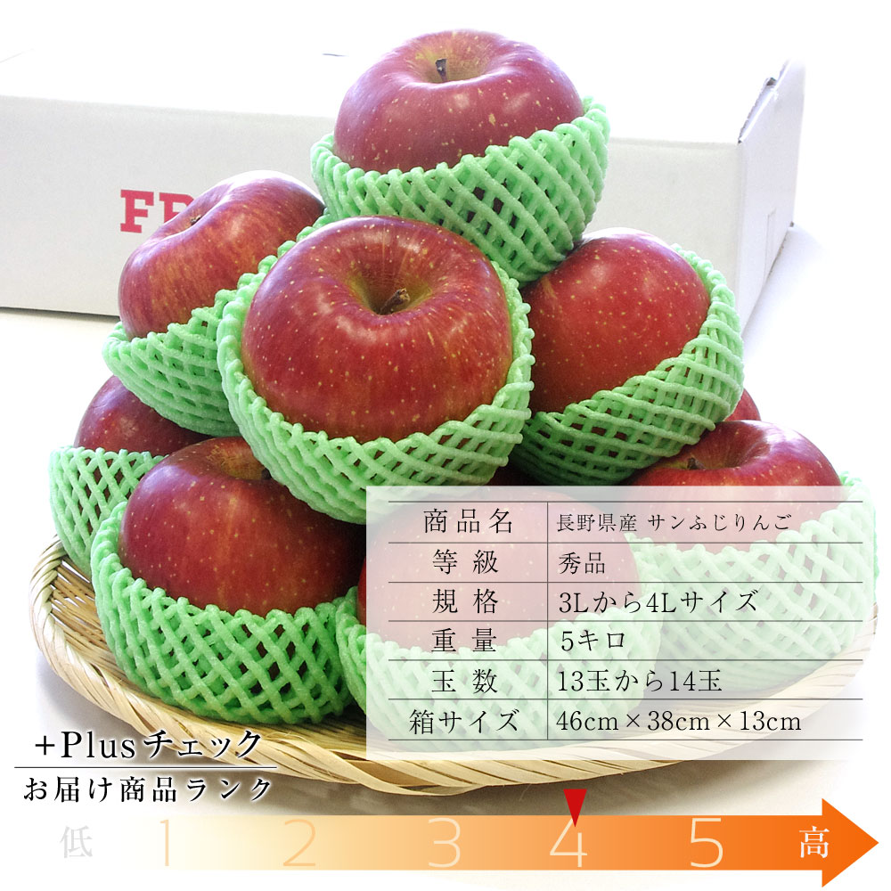 長野産 サンふじりんご（秀品） 約5キロ（13玉から14玉） りんご サンふじ ふじ