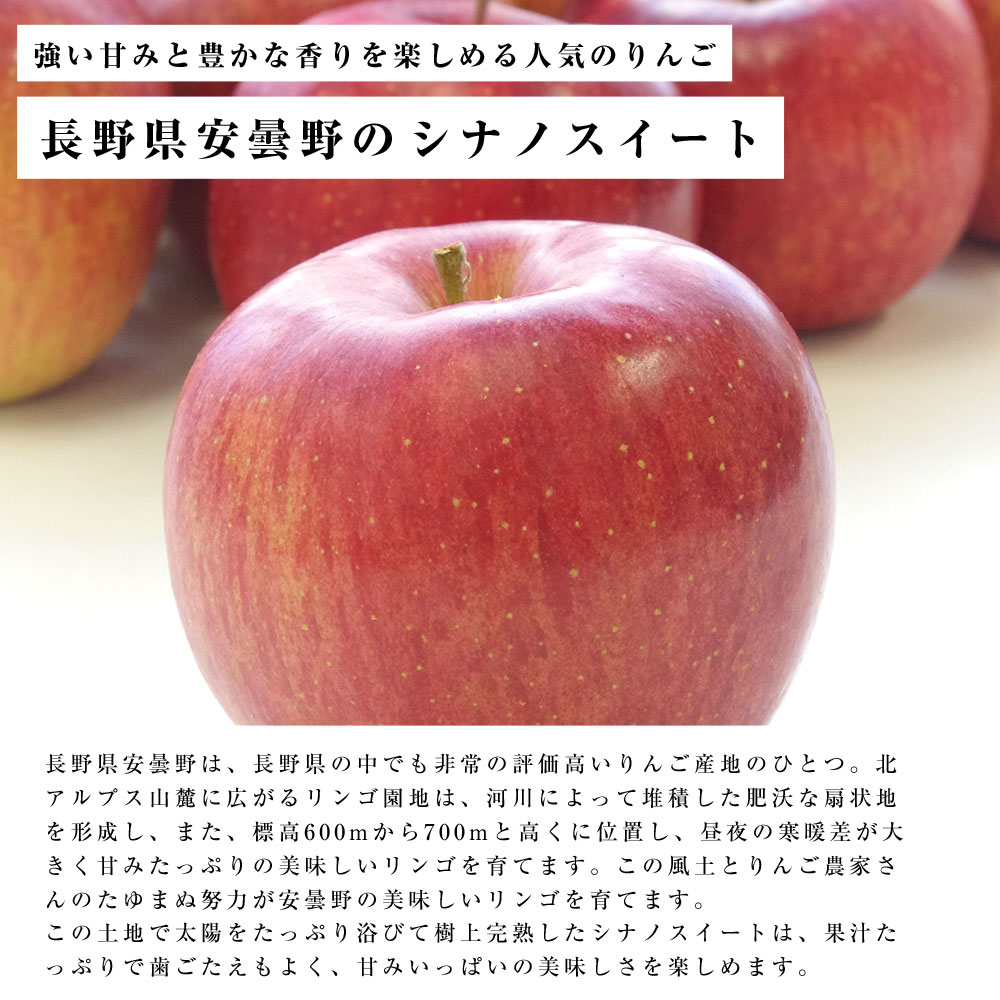 送料無料 長野県産 安曇野のシナノスイート 特秀品 約5キロ（14玉から