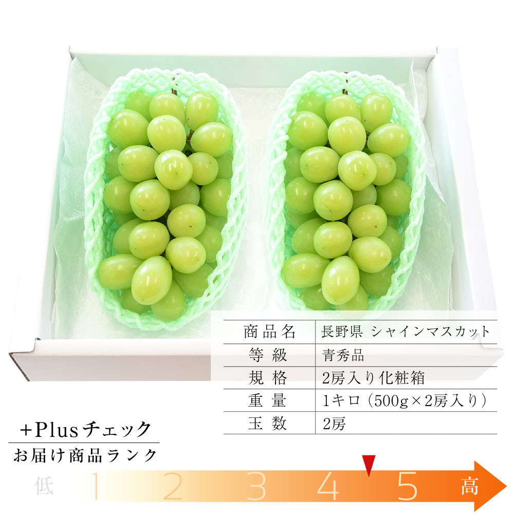 長野県産 超特大キングサイズ お徳用シャインマスカット 6房 5kg 秀品！