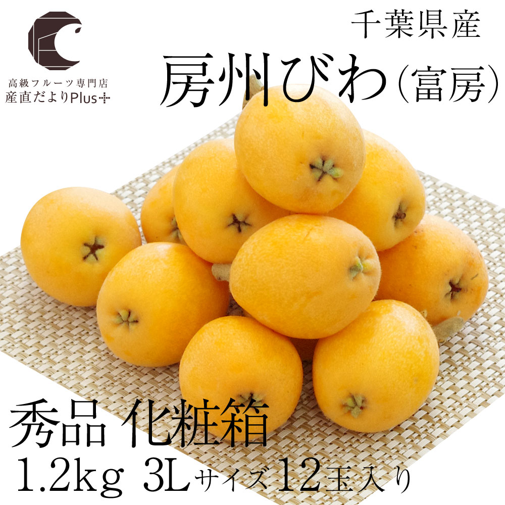 びわ　千葉県産農薬未使用3キロ　大きさ色々