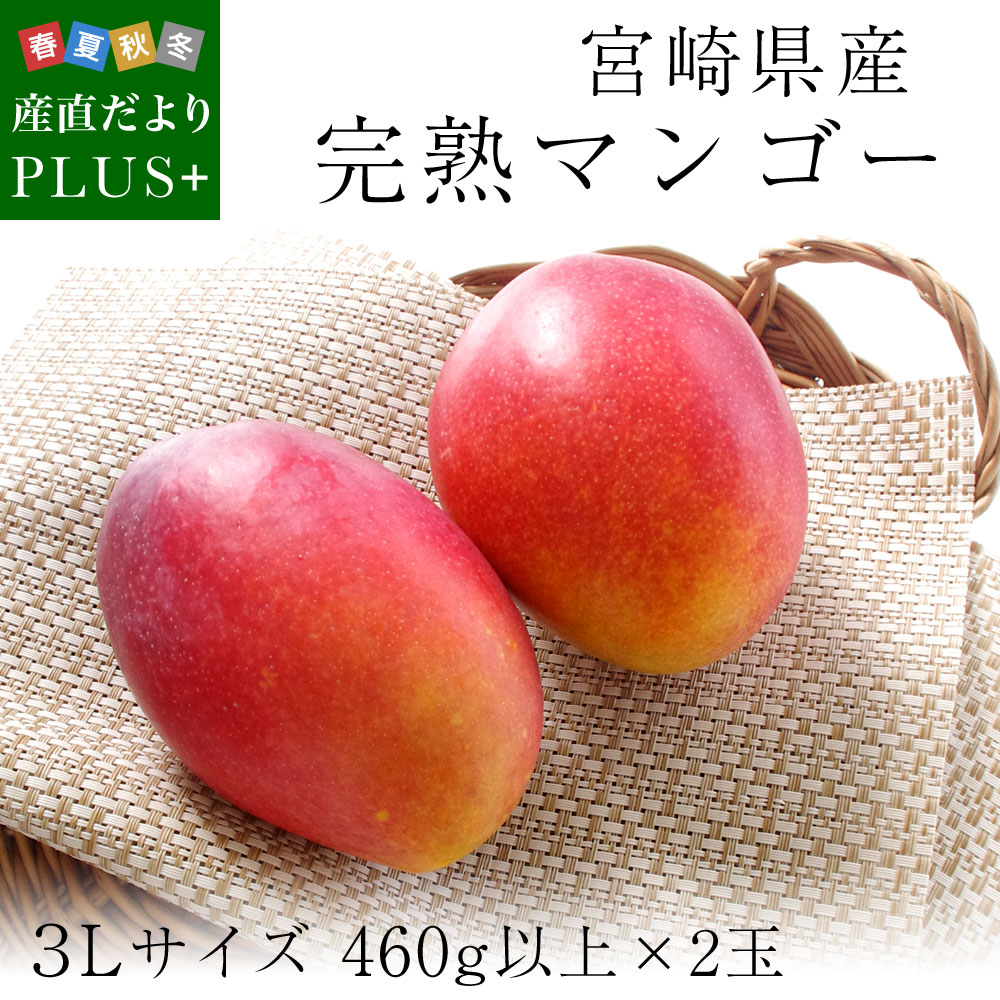 送料無料 宮崎県産 完熟マンゴー ３Lサイズ 460g以上×2玉 まんごー