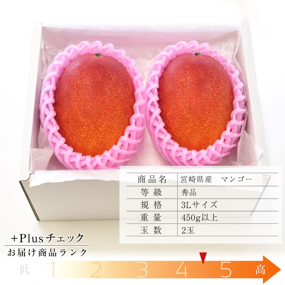 送料無料　宮崎県産　完熟マンゴー　３Lサイズ　460g以上×2玉　まんごー　夏ギフト2019