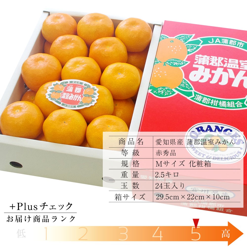 愛知県産 蒲郡温室みかん Mサイズ 2.5キロ化粧箱 （24玉入り） 蜜柑
