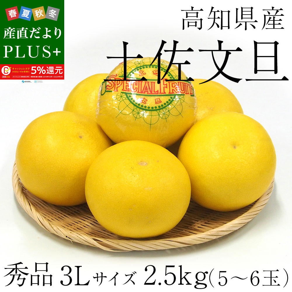 高知県産無農薬文旦20kg 2L〜3Lサイズ混合 - フルーツ