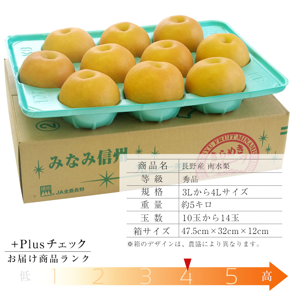 送料無料　長野県産　南水梨　秀品　約5キロ（10玉から14玉）　梨　なし　和梨