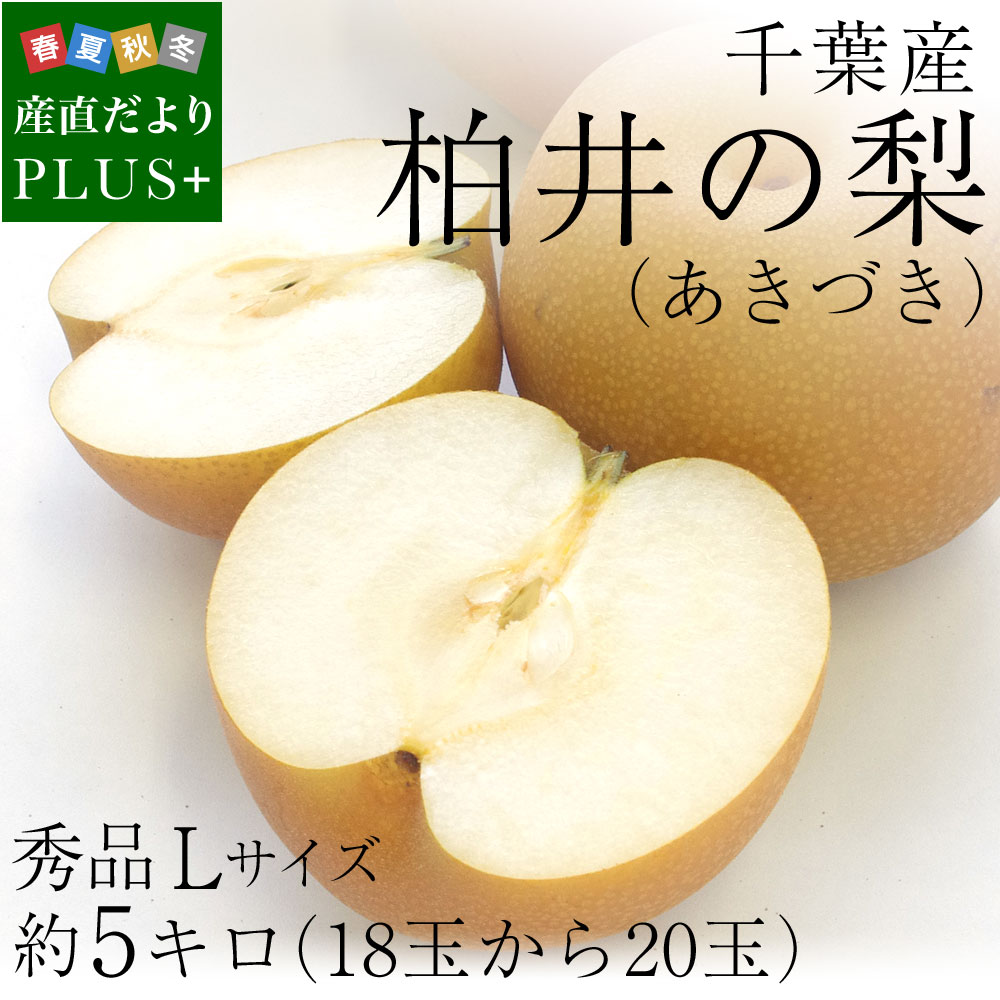 【特別価格】新潟県産　秀品あきづき梨3キロ