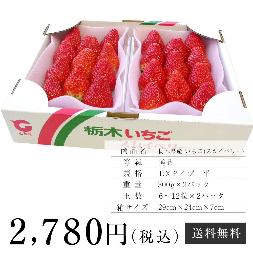 DXタイプ　送料無料　栃木県産　(6粒から12粒×２P)　(300g×2パック)　いちご　スカイベリー　PLUS＋の通販・お取り寄せなら【ぐるすぐり】　1箱　苺｜産直だより