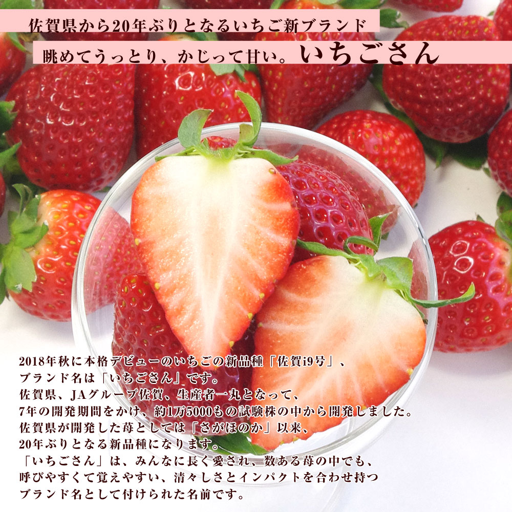 佐賀県産 新ブランド苺 いちごさん 秀品 ３Lから２Lサイズ ２箱セット 