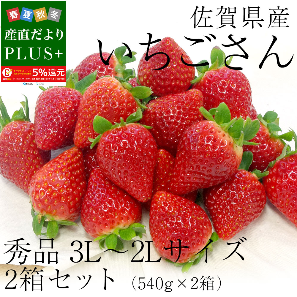 佐賀県産 新ブランド苺 いちごさん 秀品 ３Lから２Lサイズ ２箱