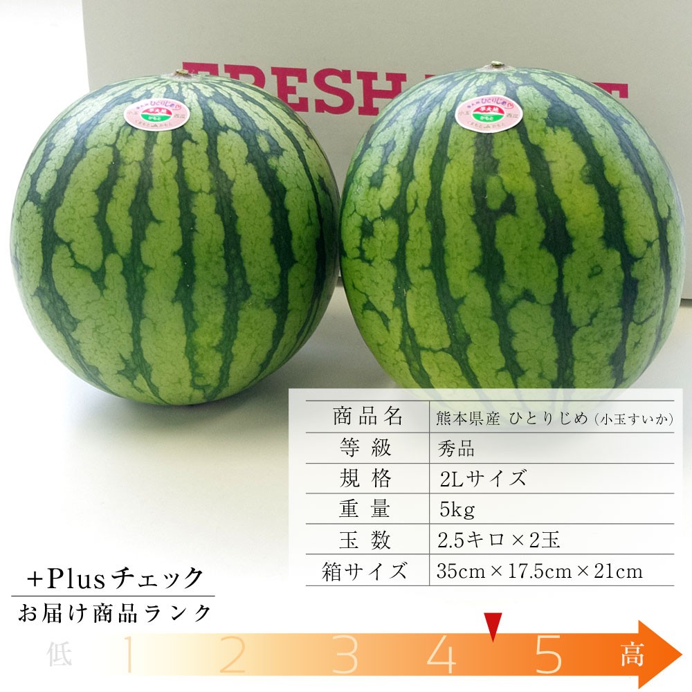 こだま西瓜  ２玉入り ５Ｋg