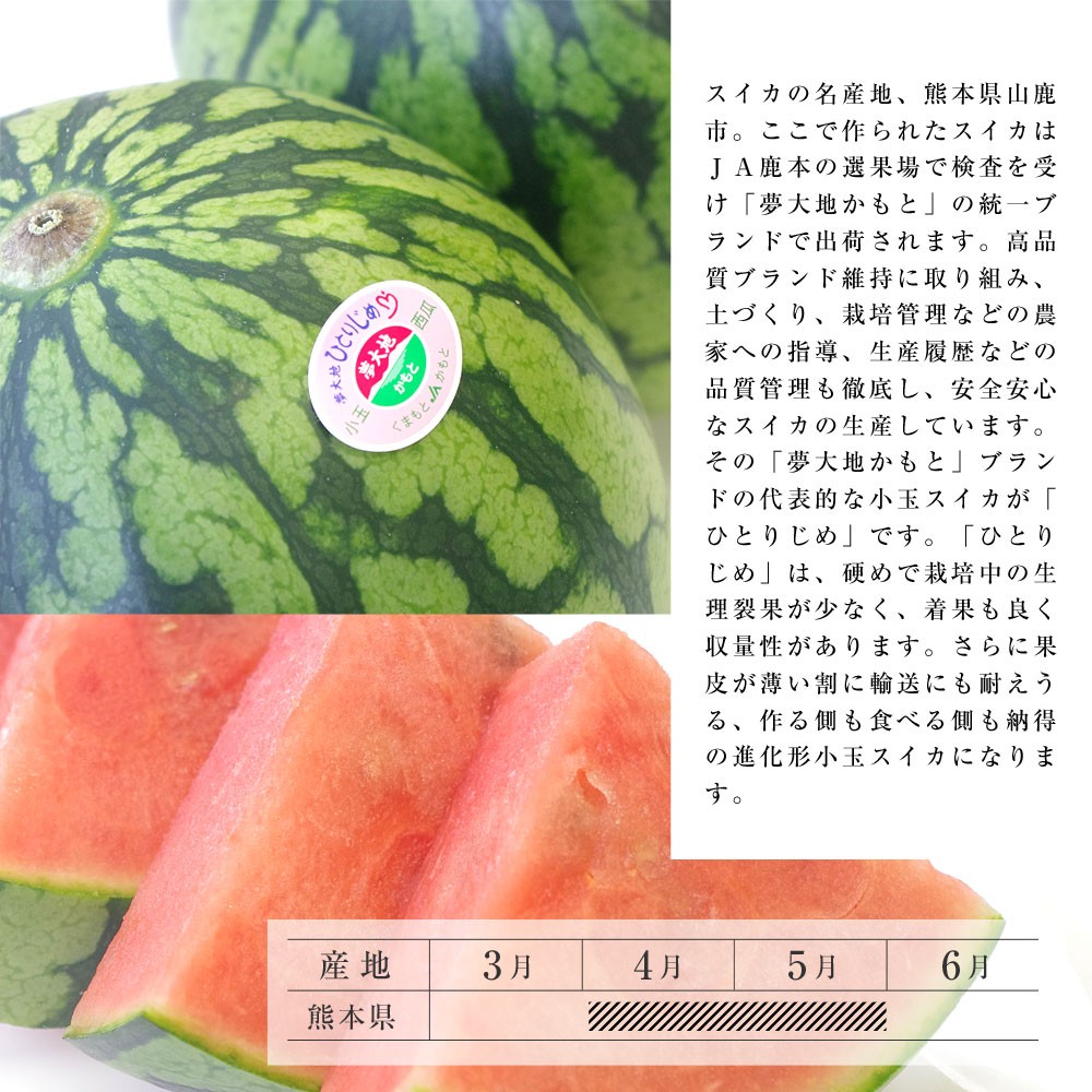 Ｐｒｅｍｉｕｍ Ｌｉｎｅ 熊本山鹿産西瓜9キロ1玉秀 - 通販