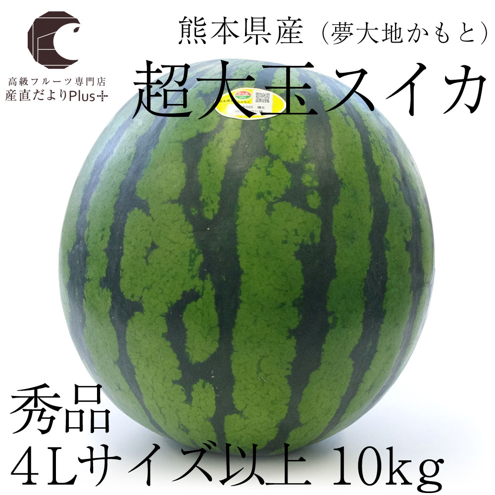 送料無料 熊本県産 超大玉スイカ 秀品 4Lサイズ以上 10キロ 西瓜