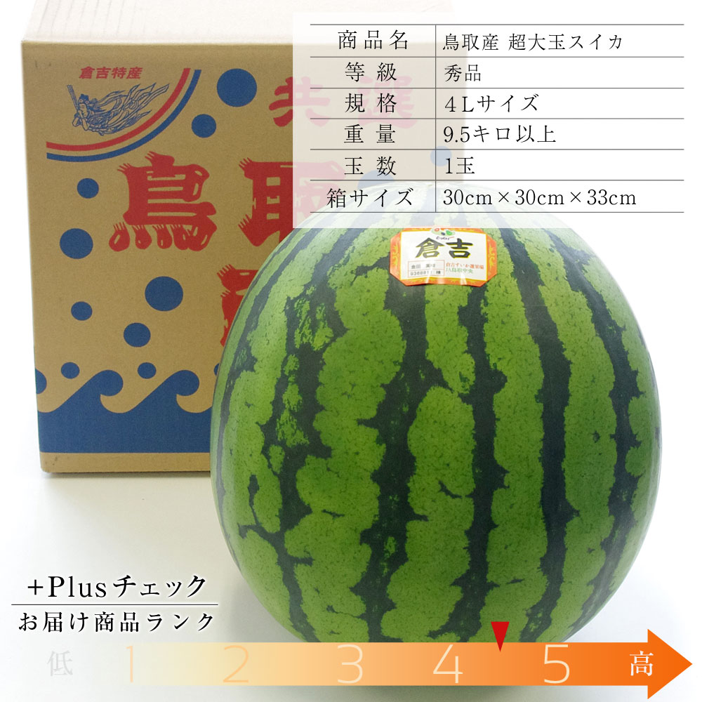 送料無料 鳥取県産 超大玉スイカ 秀品 4Lサイズ以上 1玉（約9.5キロ ...