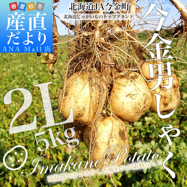 北海道産 JA今金町 じゃがいも 今金男爵 2Lサイズ 約5キロ(22玉前後入り) 送料無料 馬鈴薯 ジャガイモ 芋 男爵芋 送料無料(離島などの一部地域を除く)