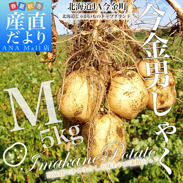 北海道産 JA今金町 じゃがいも 今金男爵 Mサイズ 約5キロ(55玉前後入り) 送料無料 馬鈴薯 ジャガイモ 芋 男爵芋 送料無料(離島などの一部地域を除く)