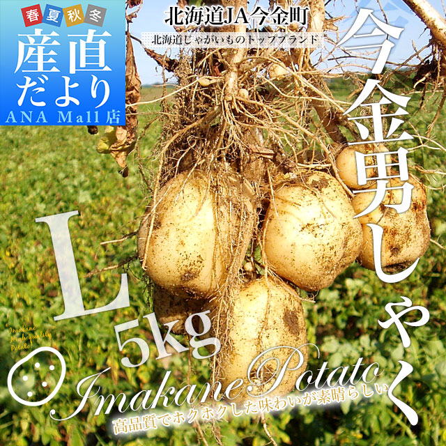 北海道産 JA今金町 じゃがいも 今金男爵 Lサイズ 約5キロ(32玉前後入り) 送料無料 馬鈴薯 ジャガイモ 芋 男爵芋 送料無料(離島などの一部地域を除く)