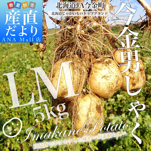 北海道産 JA今金町 じゃがいも 今金男爵 LMサイズ 約5キロ(44玉前後入り) 送料無料 馬鈴薯 ジャガイモ 芋 男爵芋 送料無料(離島などの一部地域を除く)