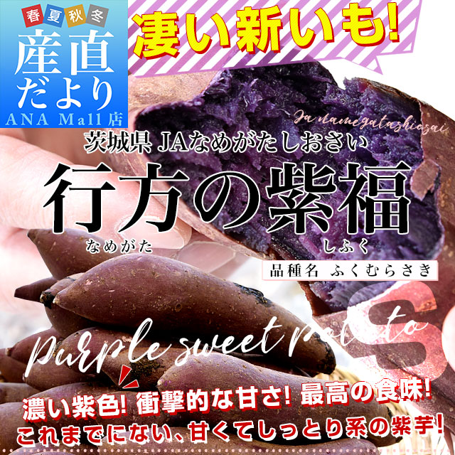 茨城県より産地直送 JAなめがたしおさい 行方の紫福（なめがたのしふく）品種名：ふくむらさき Ｓサイズ 約5キロ（30本前後） 送料無料 さつま芋 さつまいも サツマイモ 薩摩芋 紫芋 むらさき芋