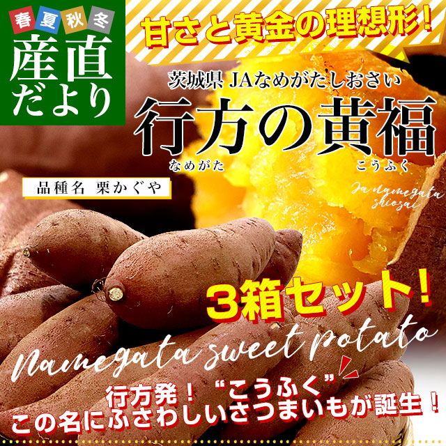βʡSSS