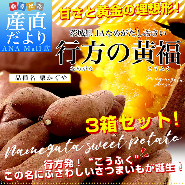 茨城県より産地直送 JAなめがたしおさい さつまいも 行方の黄福