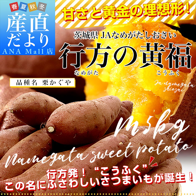 ふくむらさき芋苗400本栗かぐや50お詫び専用、ほかのお客様がご購入できません ふくむらさき芋苗400本栗かぐや50お詫び専用、ほかのお客様がご