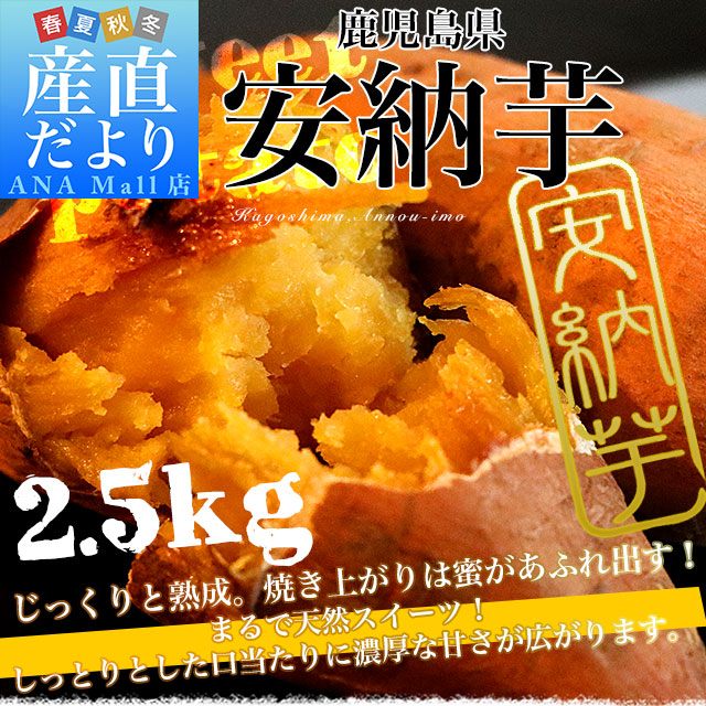 鹿児島県産 安納芋 LからSサイズ 2,5 kg 10本から15本前後 送料無料(離島などの一部地域を除く) さつまいも　サツマイモ 安納芋 種子島