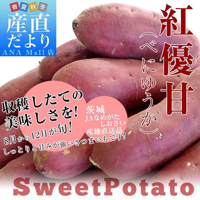 茨城県より産地直送 JAなめがたしおさい さつまいも「紅優甘 (べにゆうか)」 Sサイズ 5キロ(25本から30本) 送料無料 さつま芋 サツマイモ 薩摩芋 送料無料(離島などの一部地域を除く)