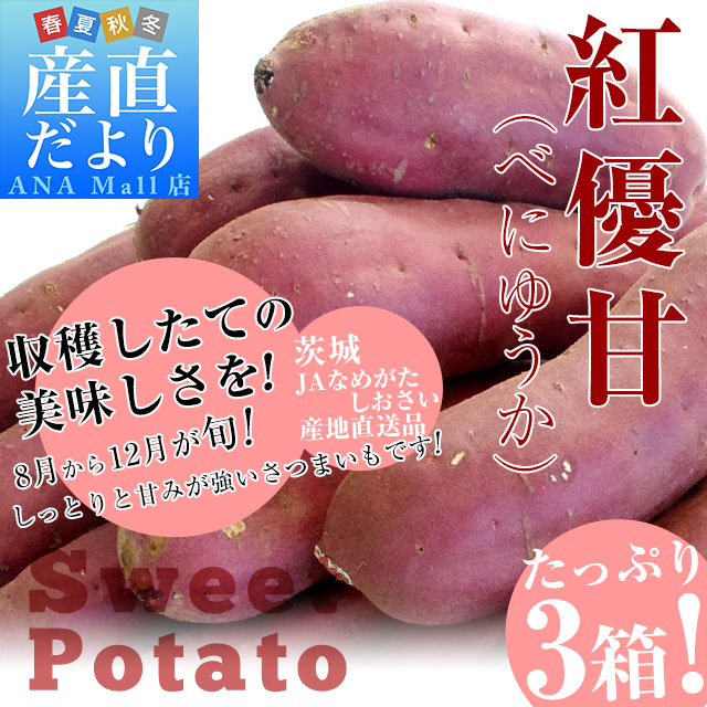 茨城県より産地直送 JAなめがたしおさい さつまいも「紅優甘 (べにゆうか)」 SからSSサイズ 1キロ×3箱セット 送料無料(離島など一部地域を除く) さつま芋 サツマイモ 薩摩芋