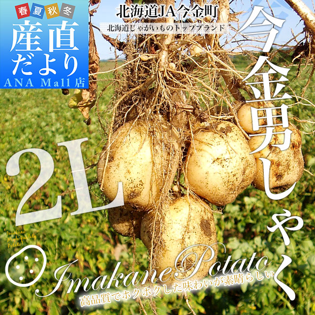 北海道産 JA今金町 じゃがいも 今金男爵 2Lサイズ 約10キロ(45玉前後入り) 送料無料 馬鈴薯 ジャガイモ 芋 男爵芋 送料無料(離島などの一部地域を除く)